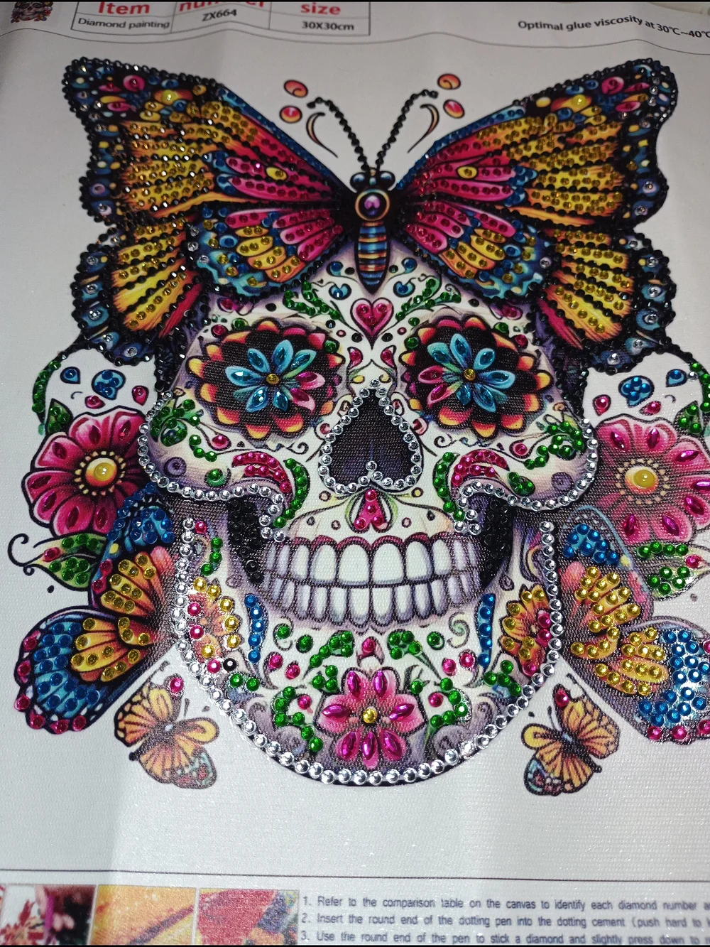 Butterfly Skull Wall Diamond Art -Homemade